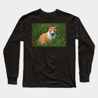 Curious Cat Long Sleeve T-Shirt